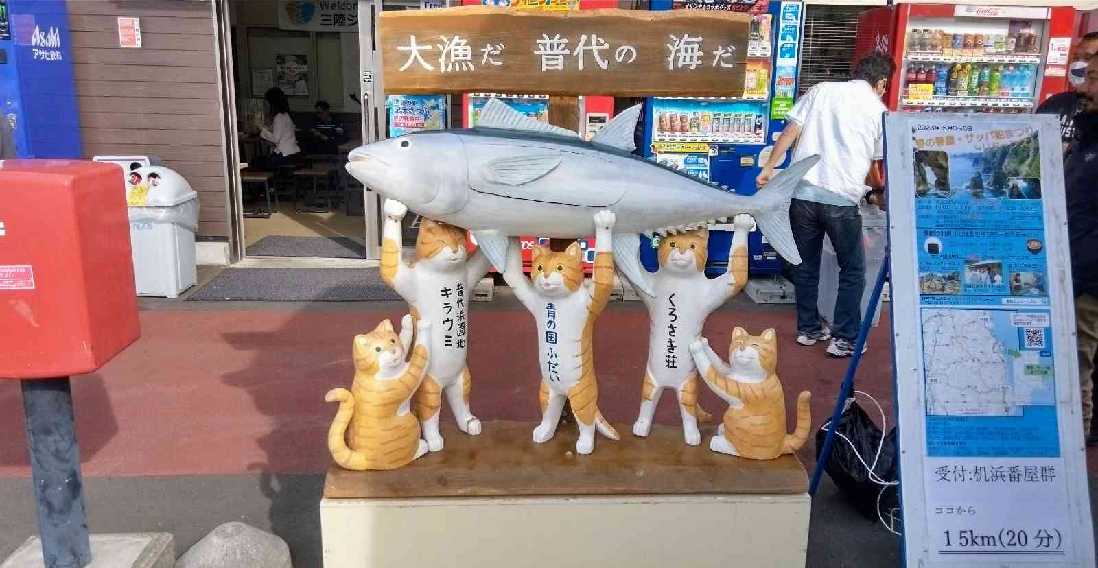 投稿された画像