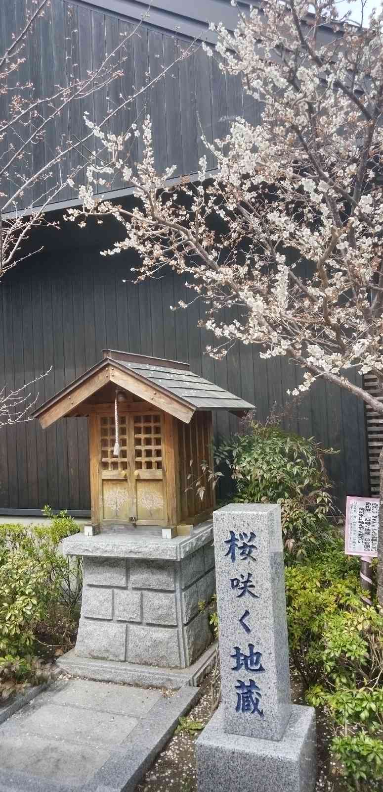 道の駅 おながわの写真