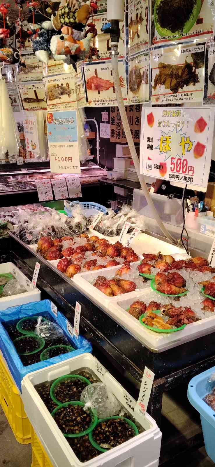 道の駅 おながわの写真