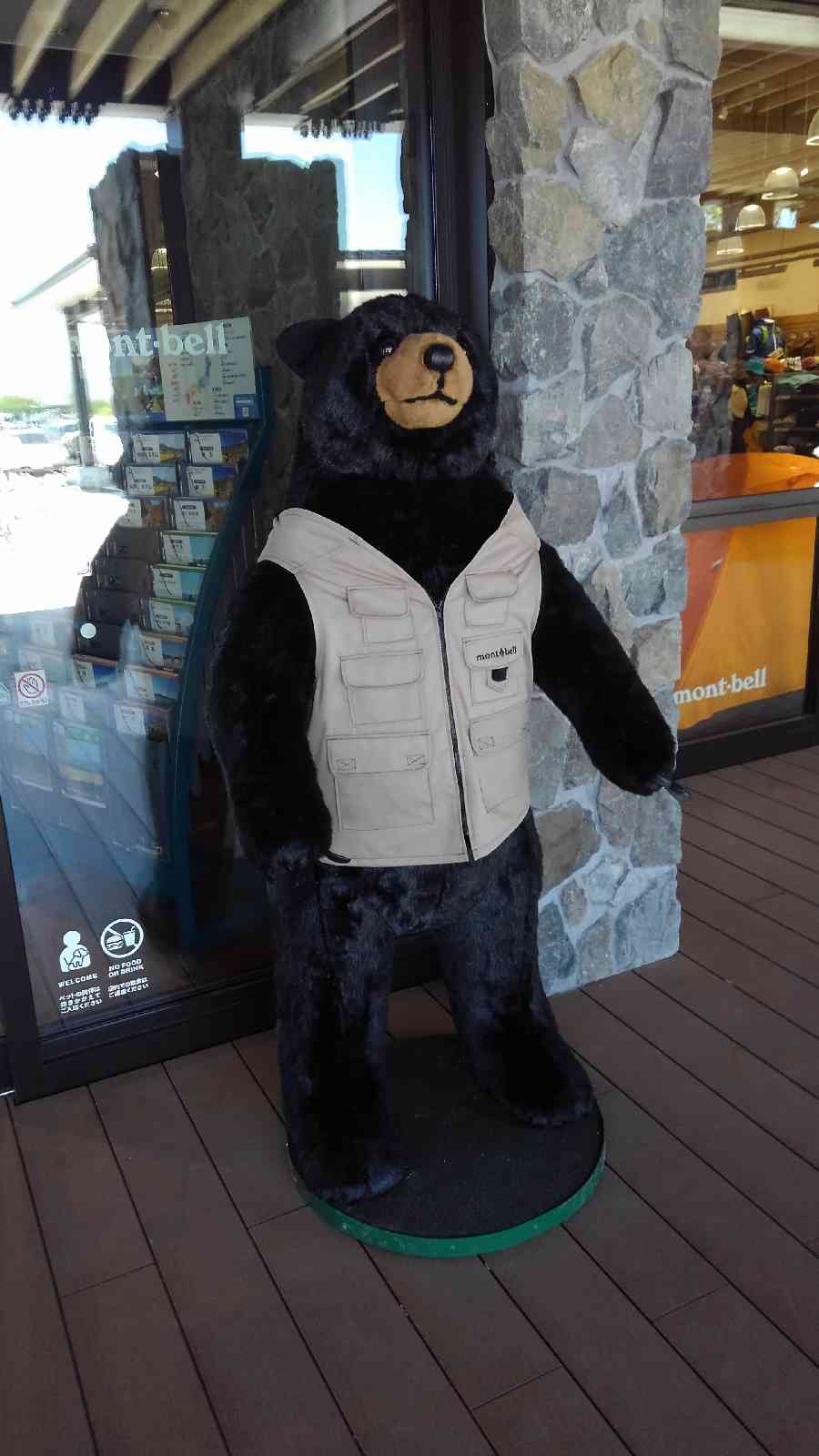 投稿された画像