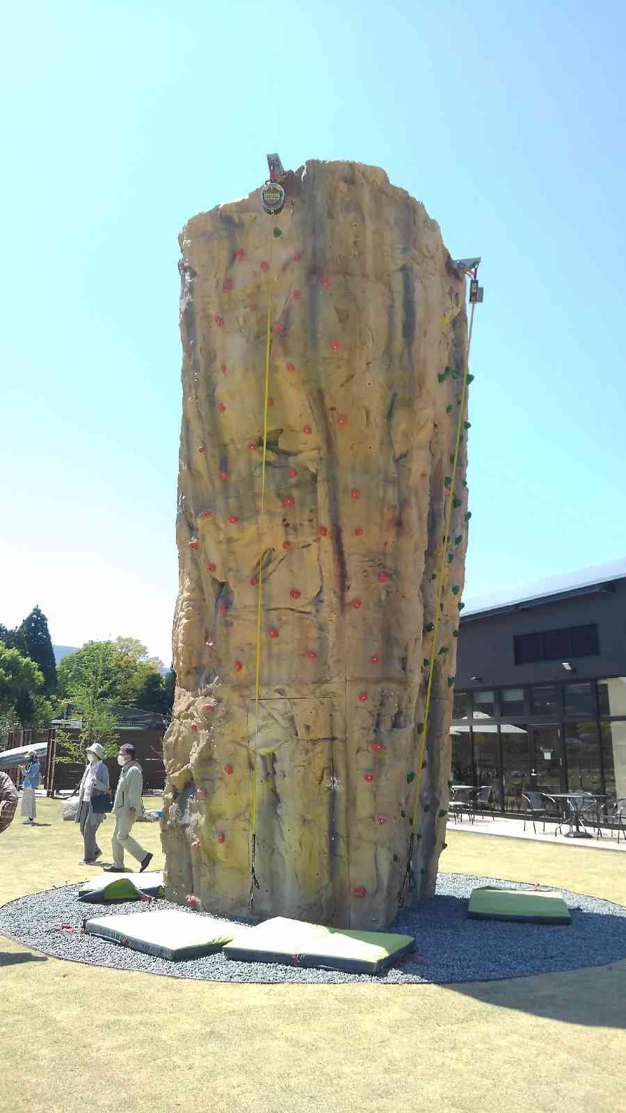 投稿された画像