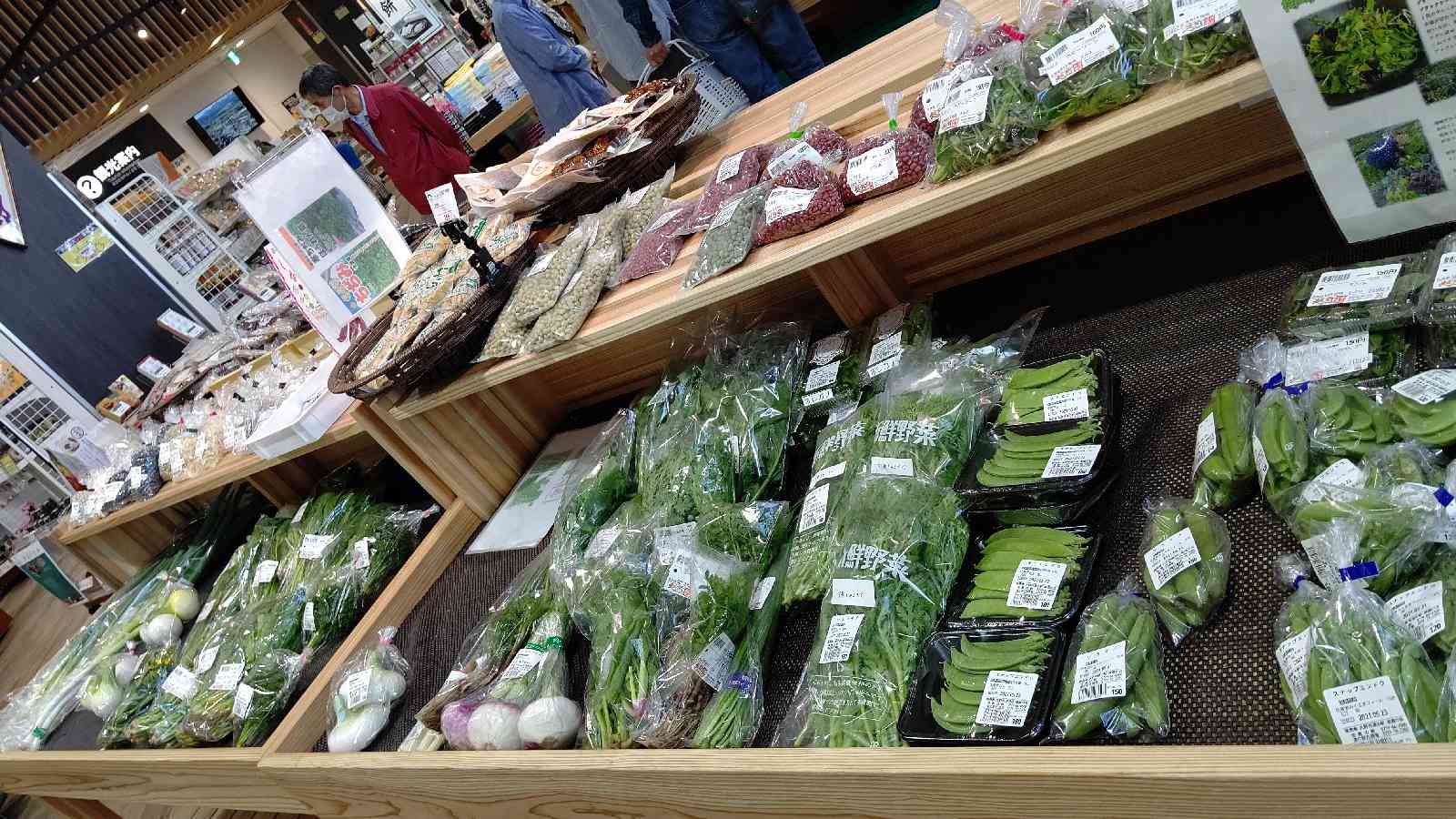 投稿された画像