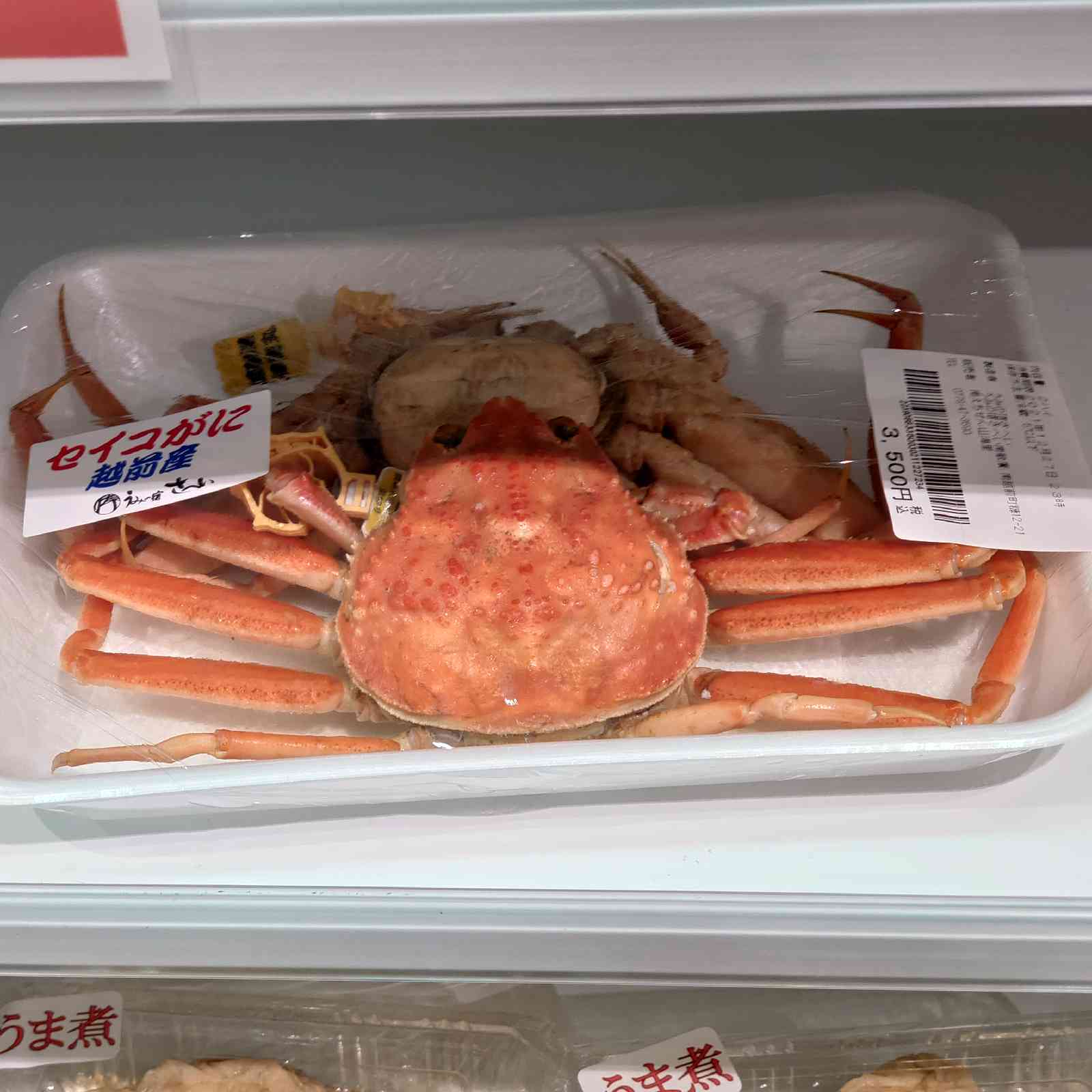 投稿された画像