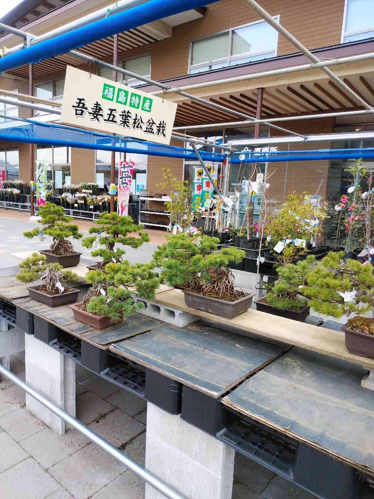 投稿された画像