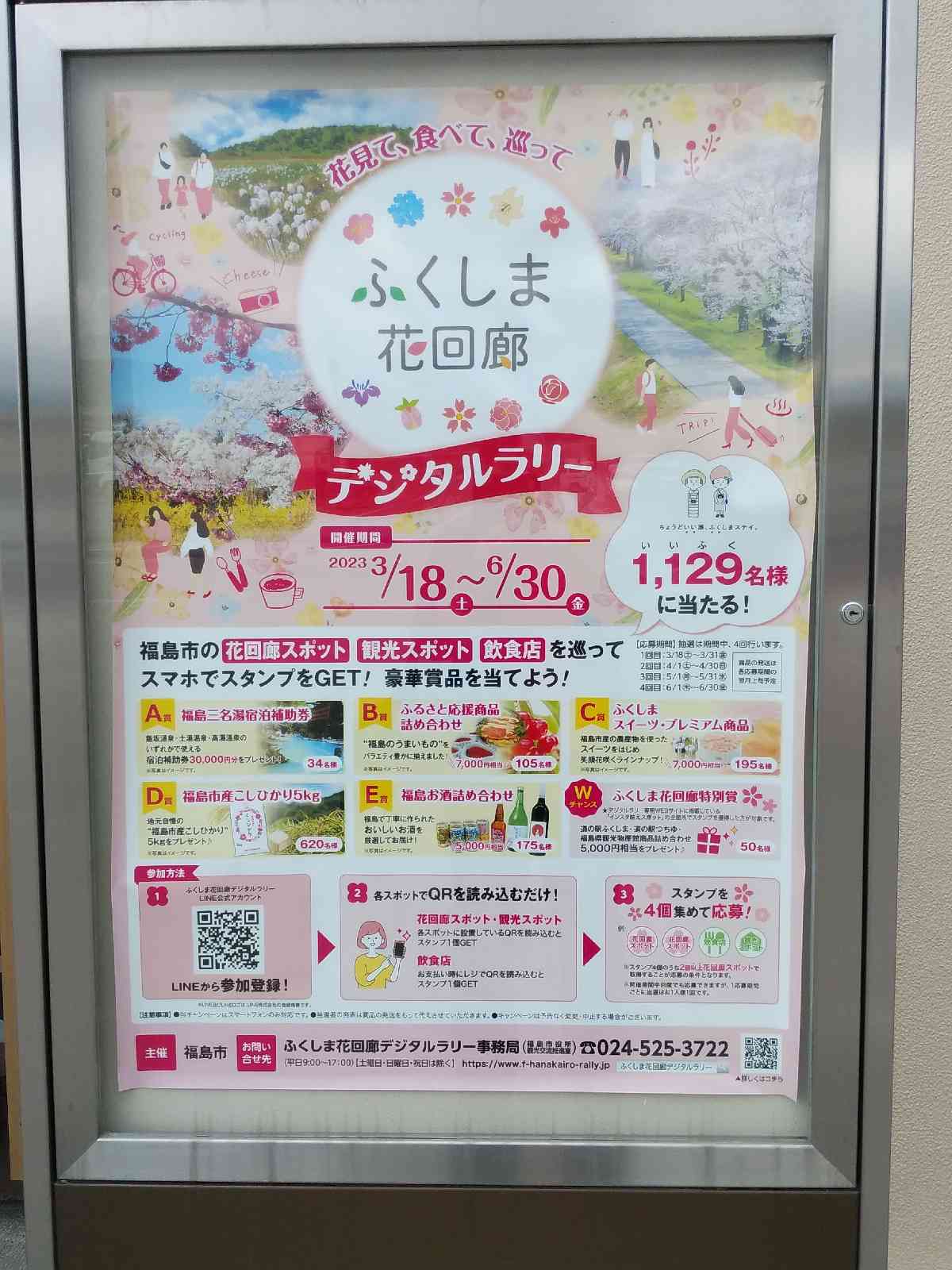 投稿された画像