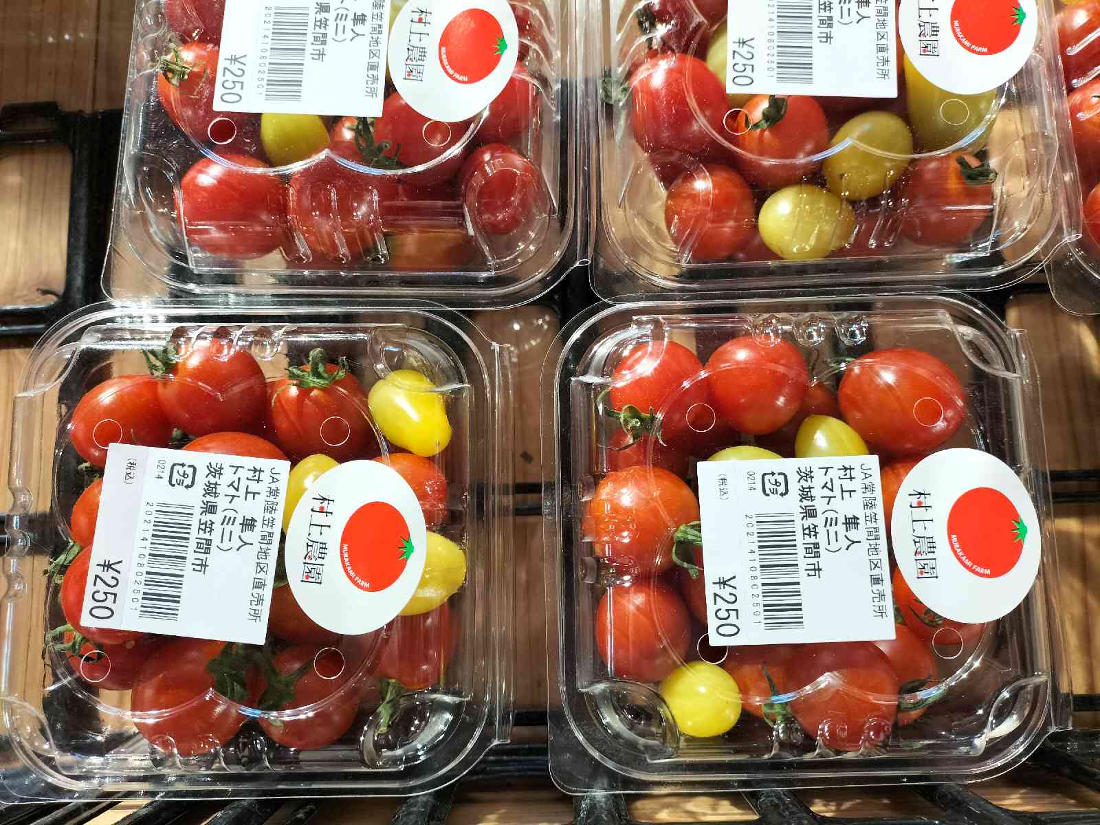 投稿された画像