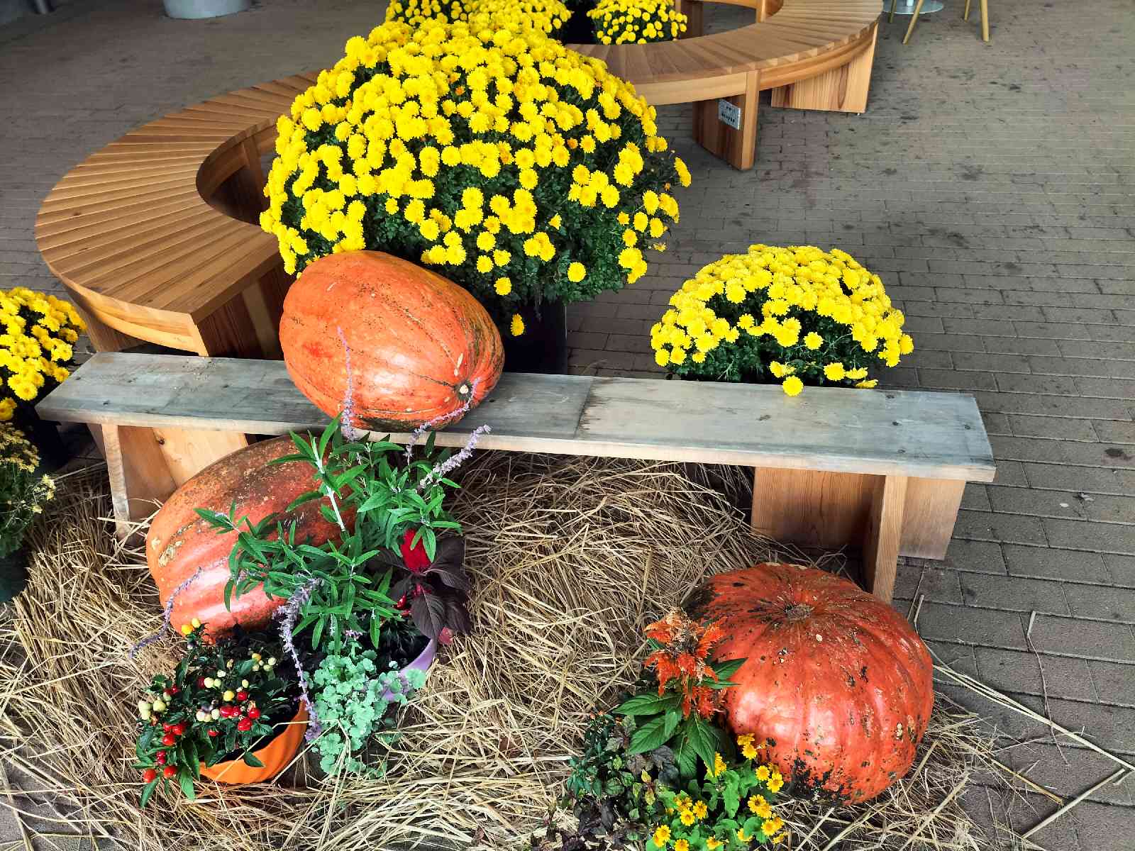 投稿された画像