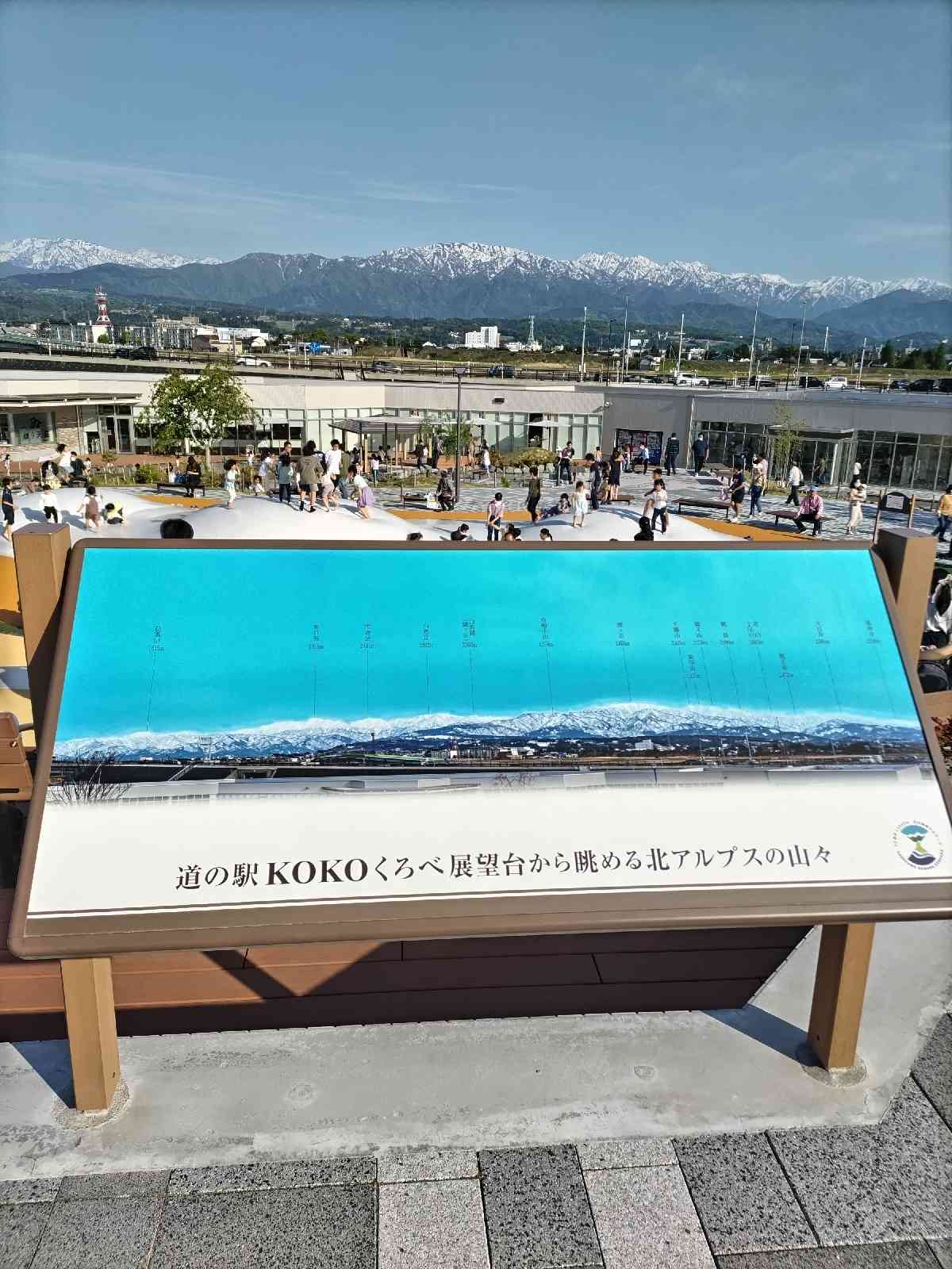 投稿された画像