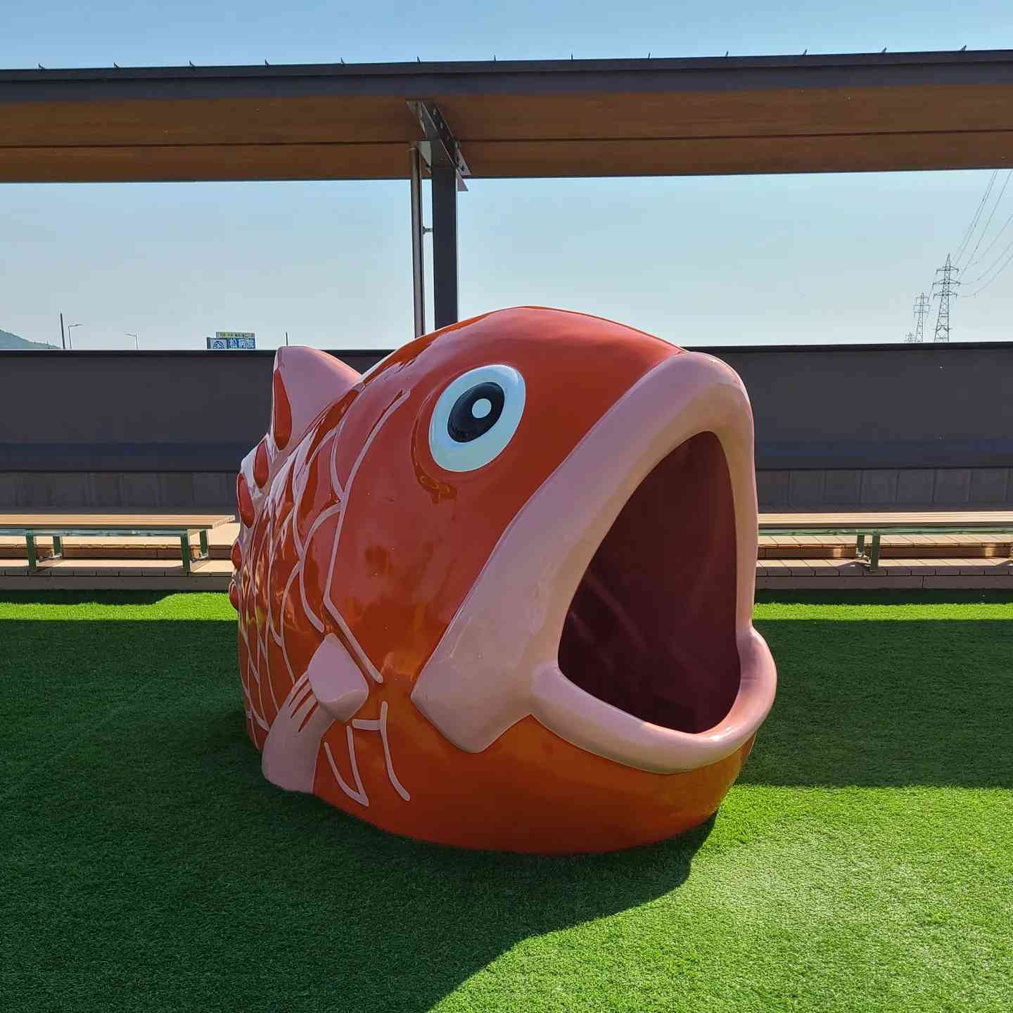 投稿された画像