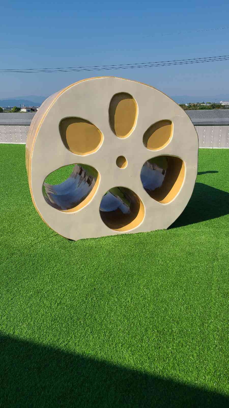 投稿された画像