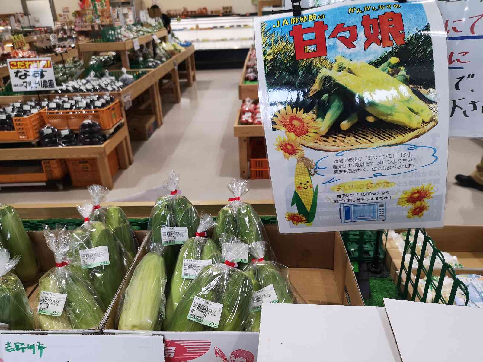 投稿された画像