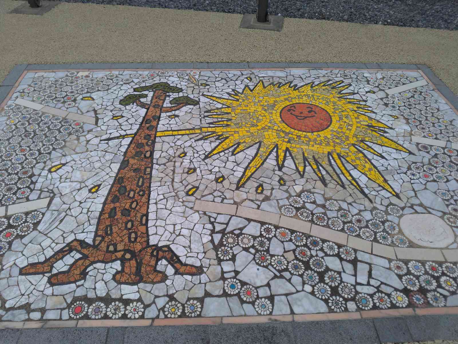 投稿された画像