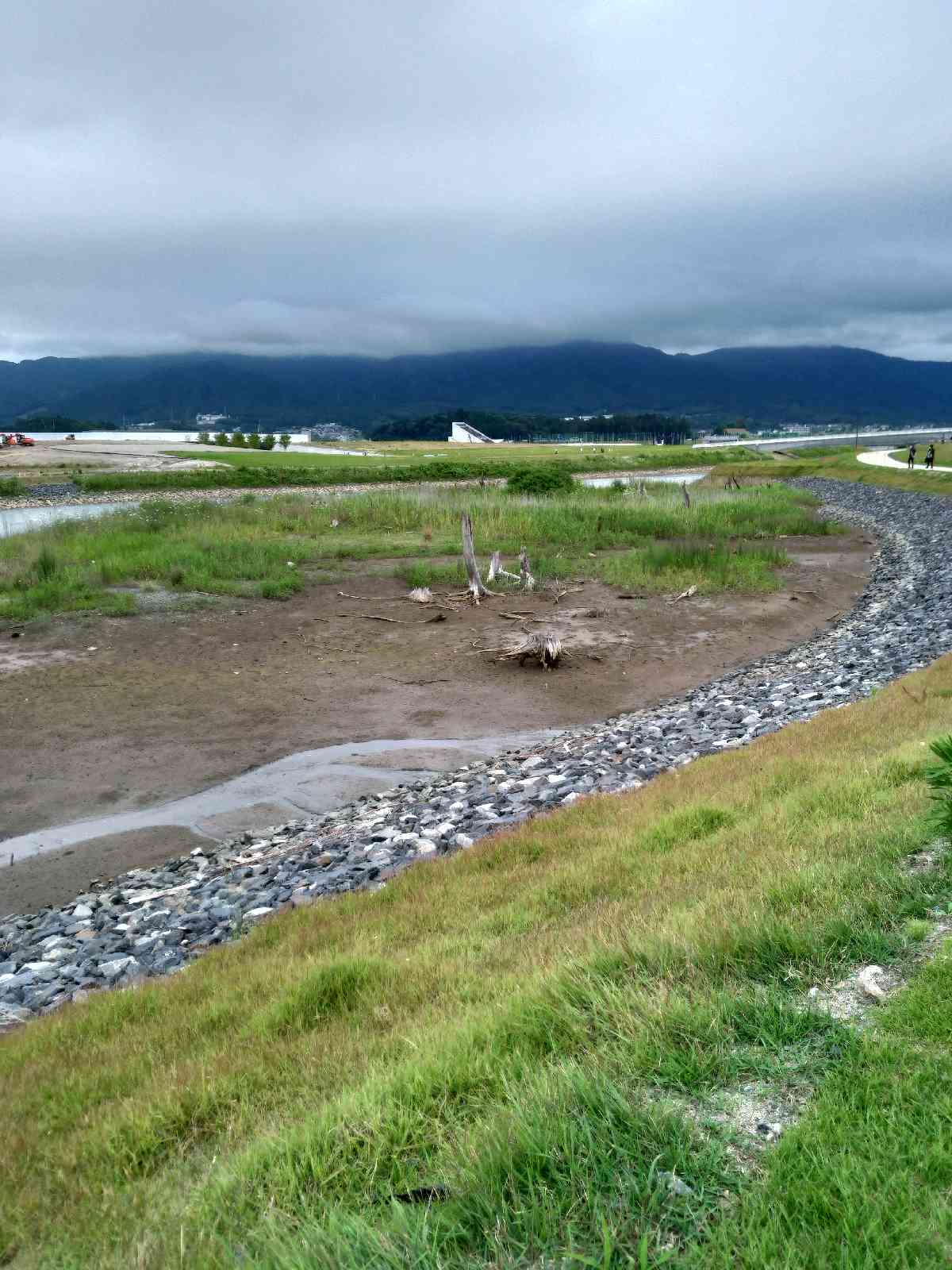 投稿された画像