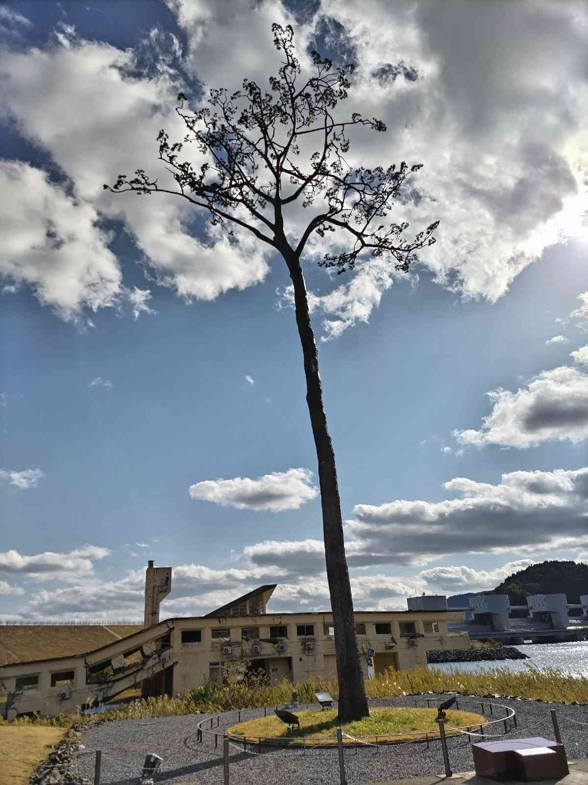 道の駅 高田松原の写真