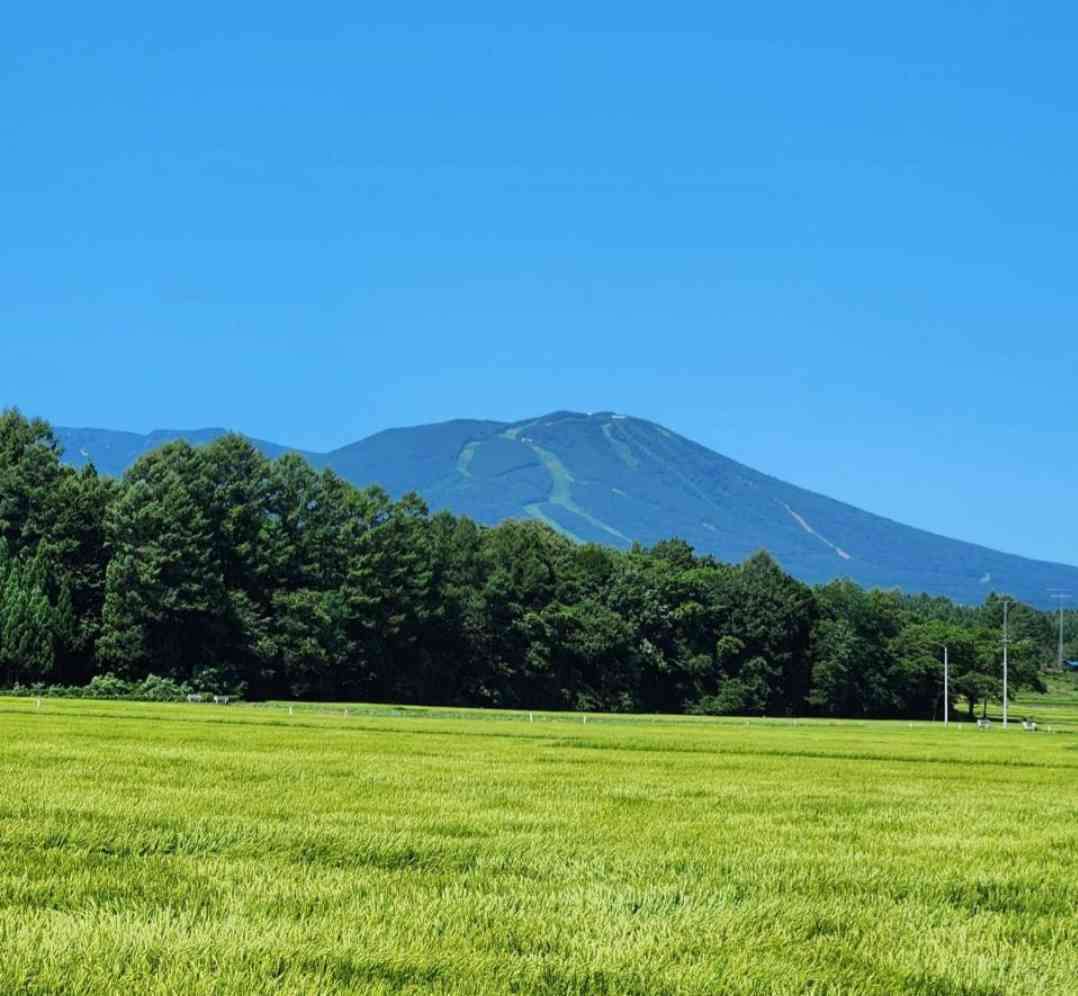 道の駅 高田松原の写真