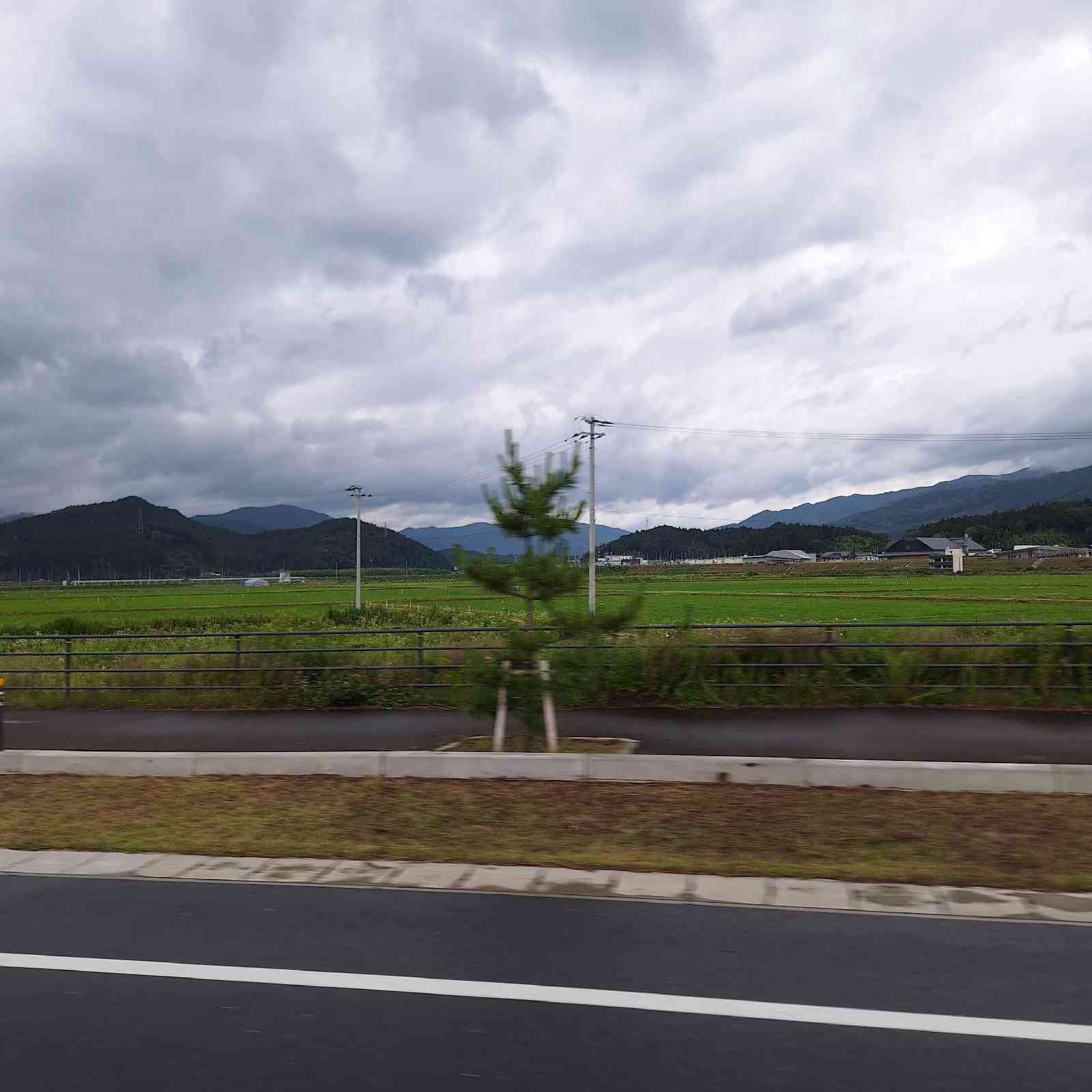 道の駅 高田松原の写真