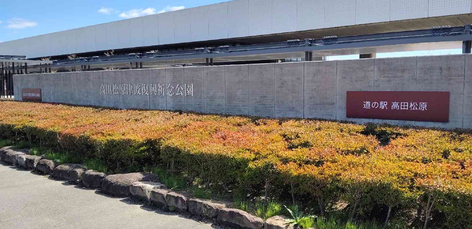 道の駅 高田松原の写真