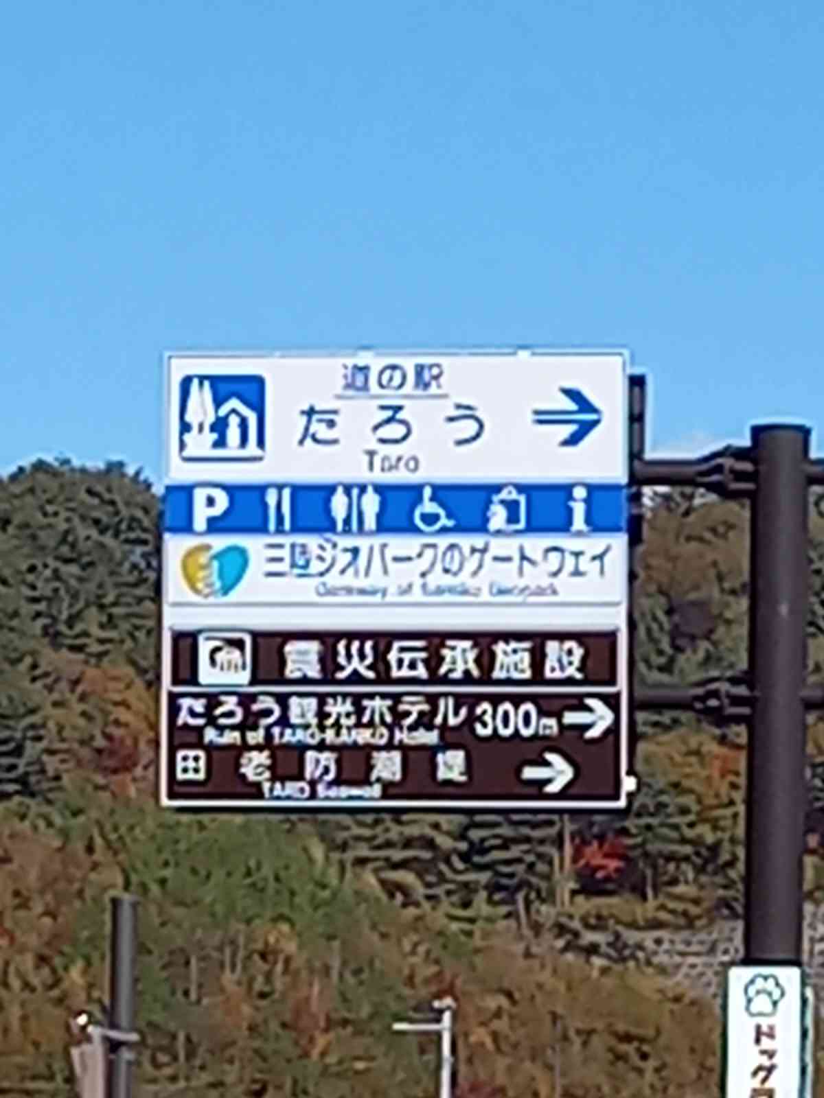 投稿された画像