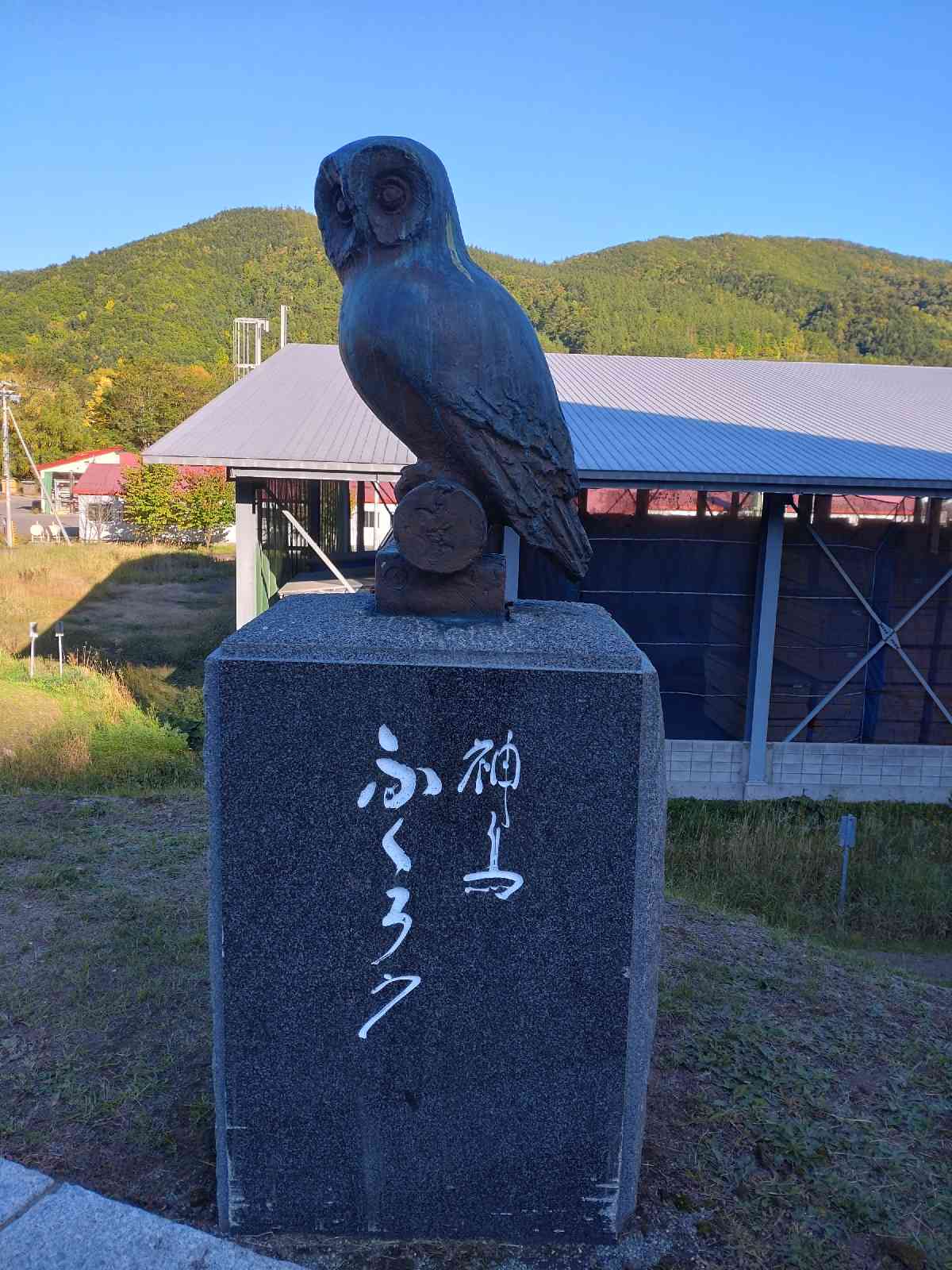 投稿された画像