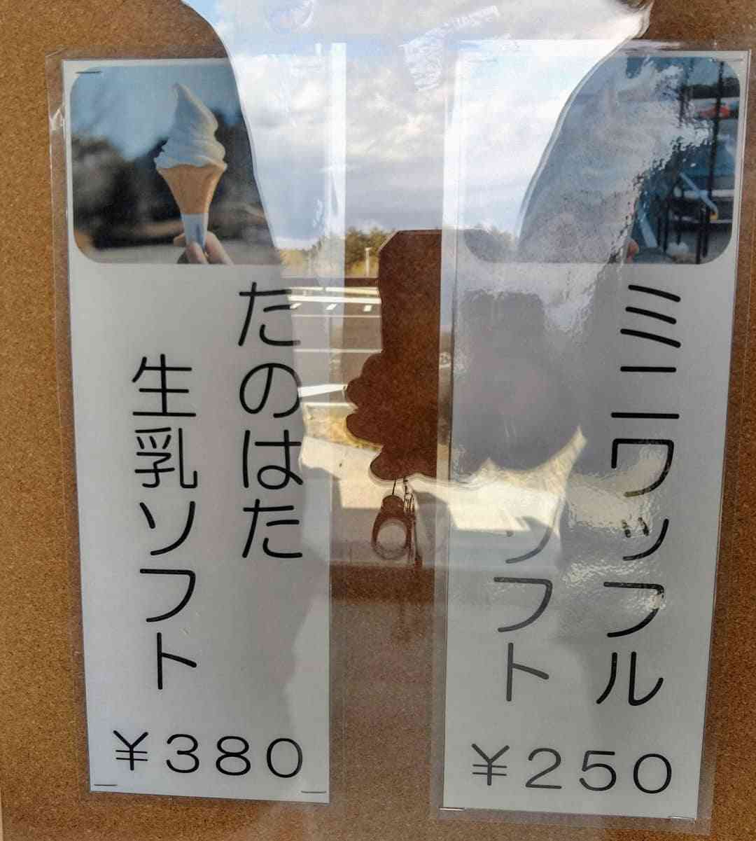 投稿された画像