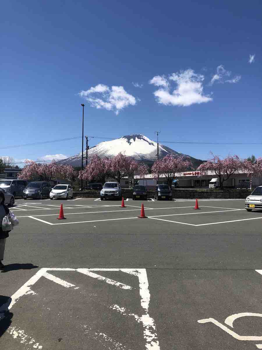 投稿された画像