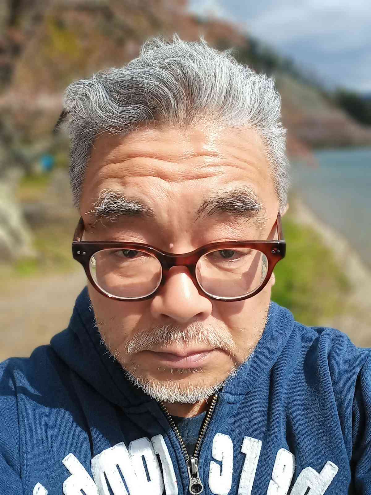 投稿された画像