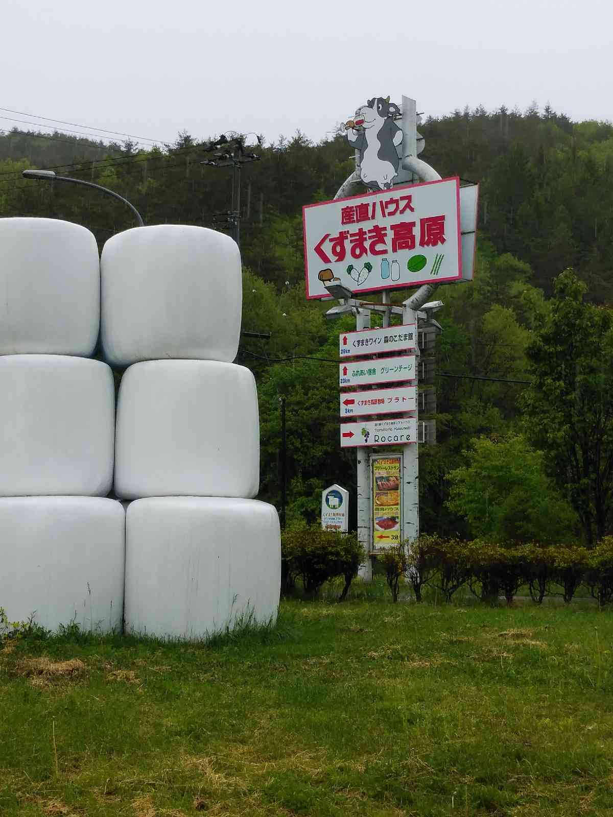 投稿された画像