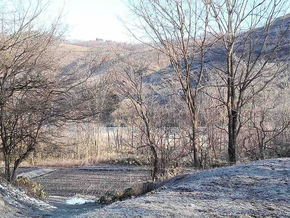 投稿された画像