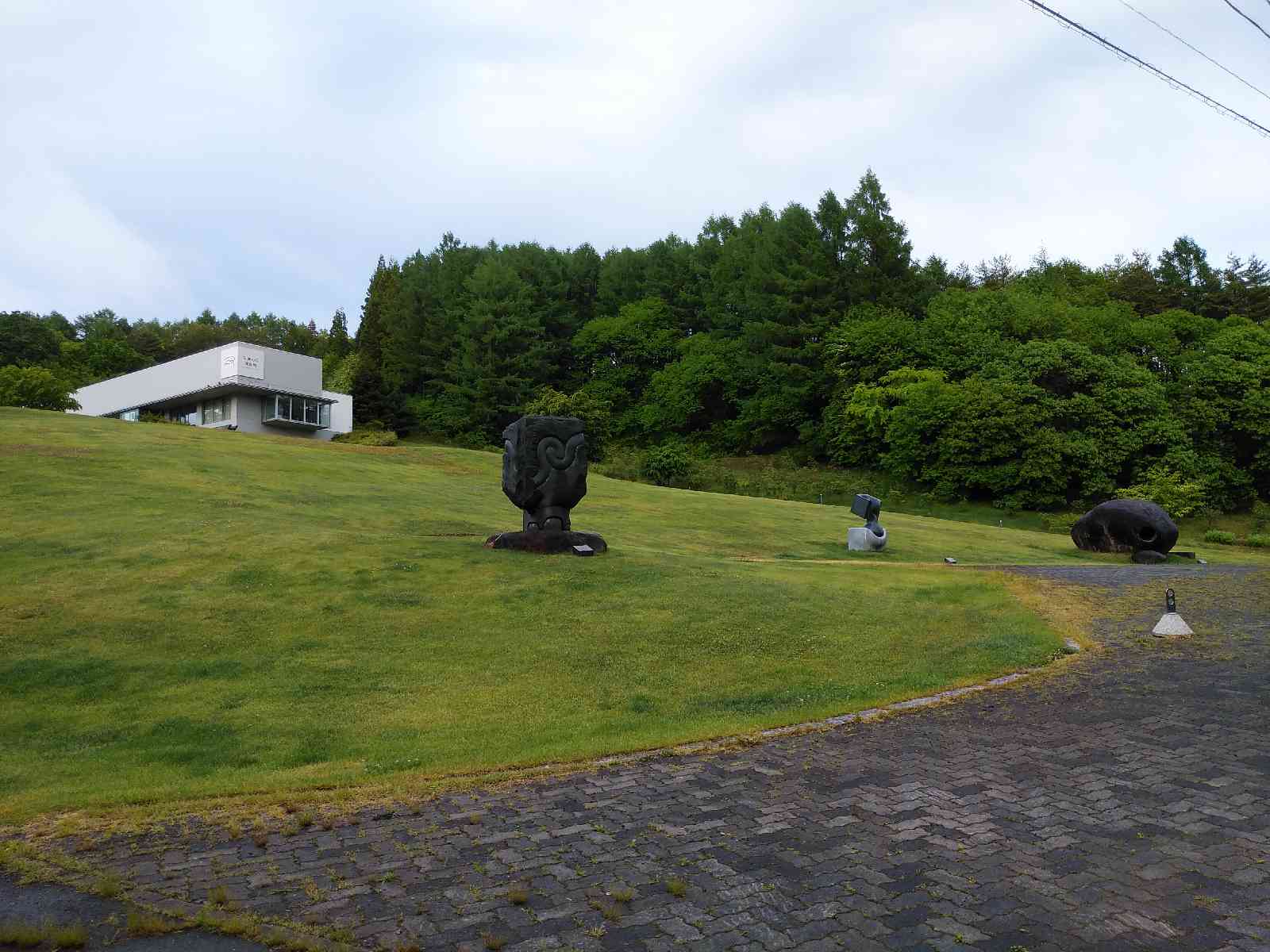 投稿された画像