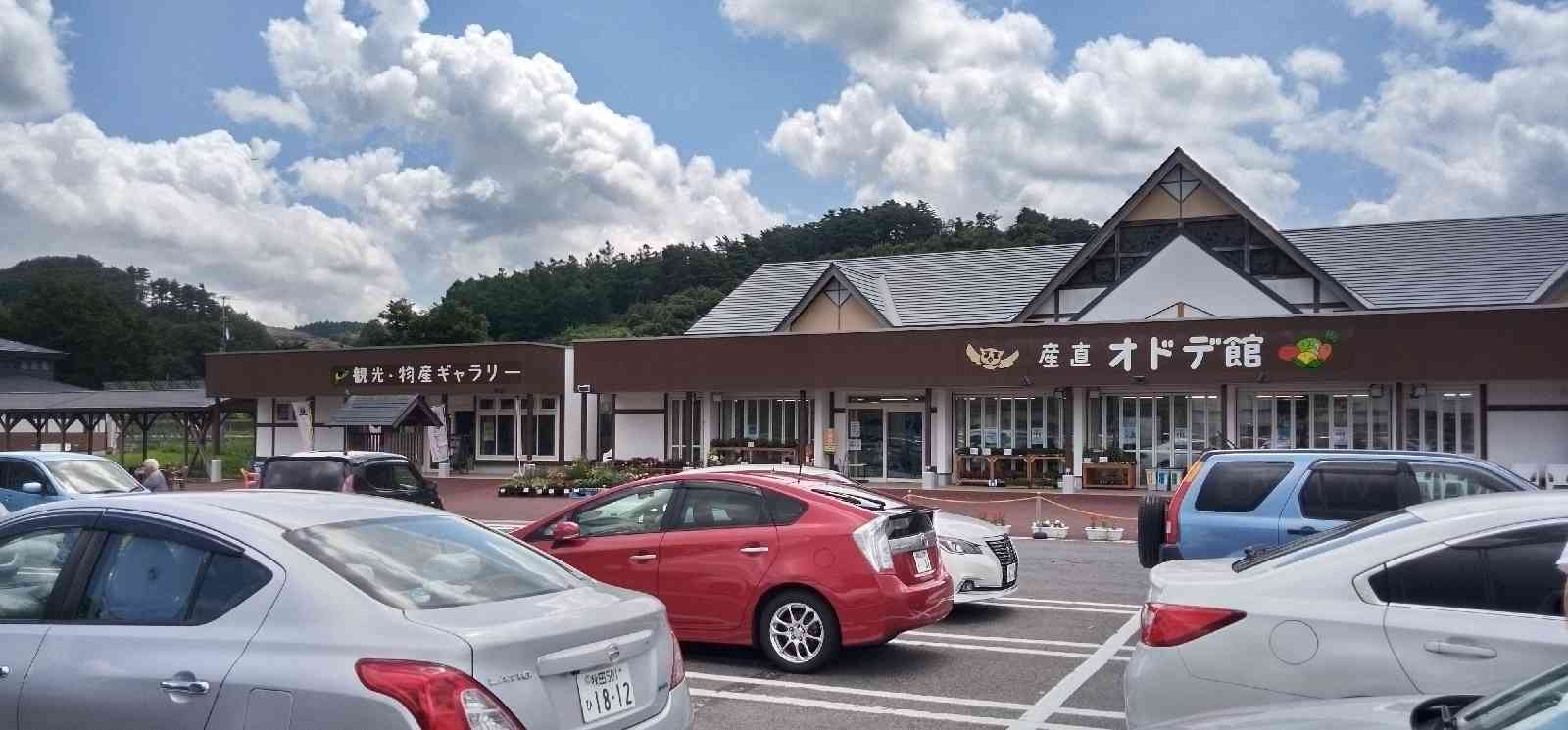 投稿された画像