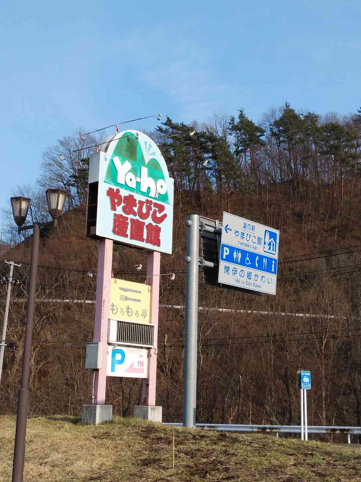 投稿された画像