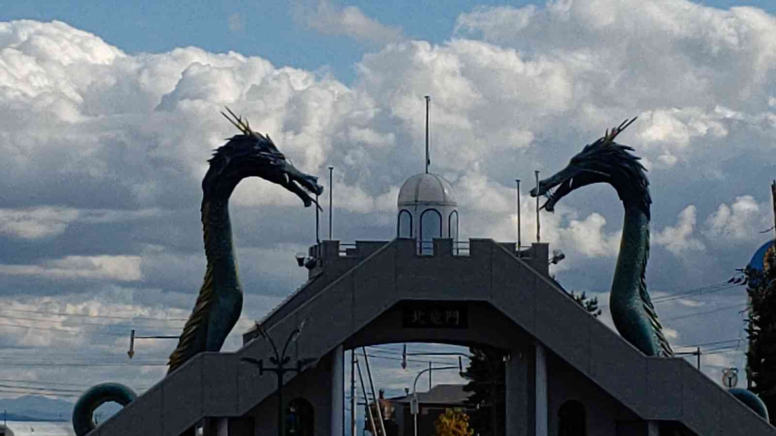 投稿された画像