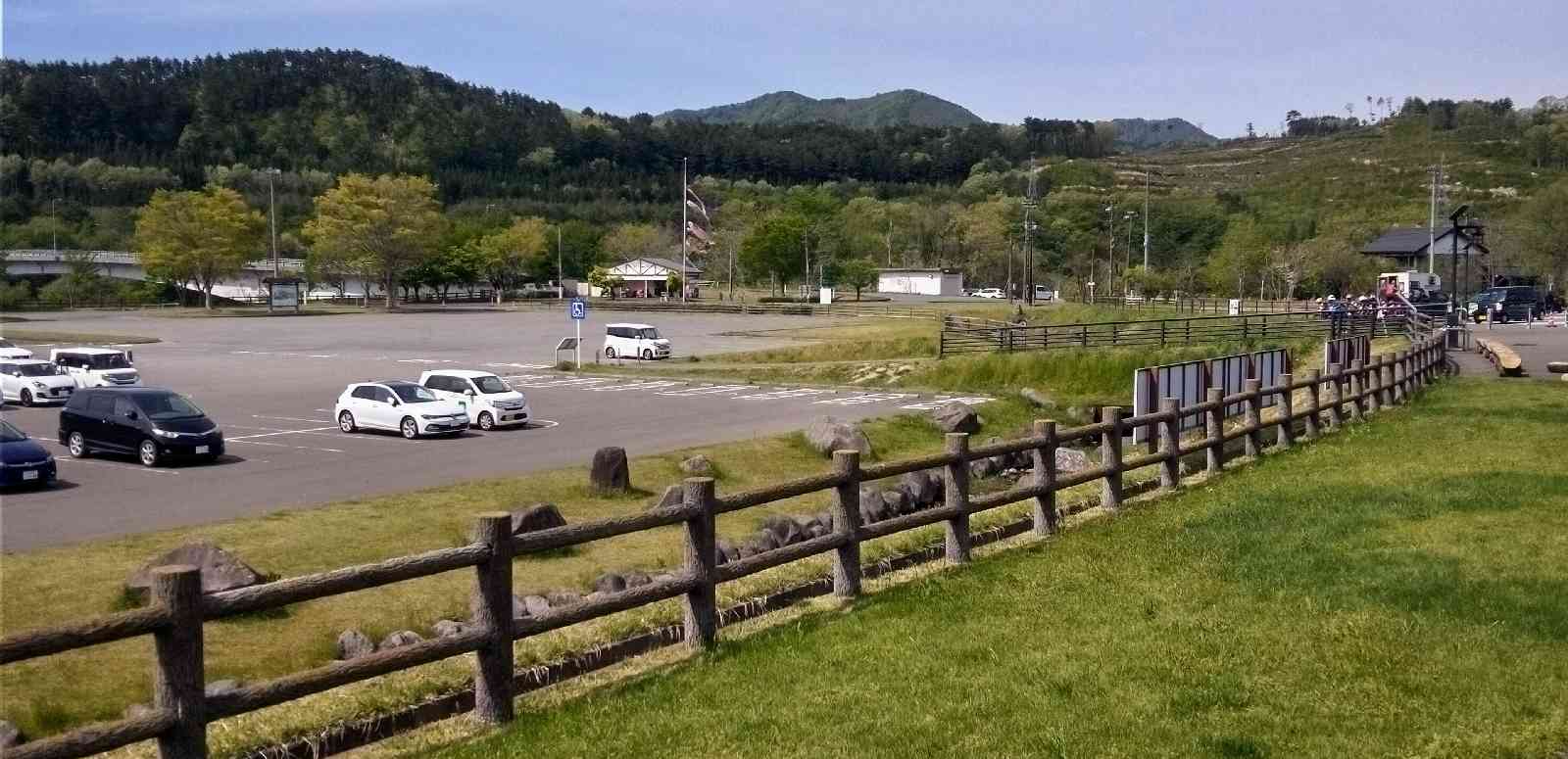 投稿された画像