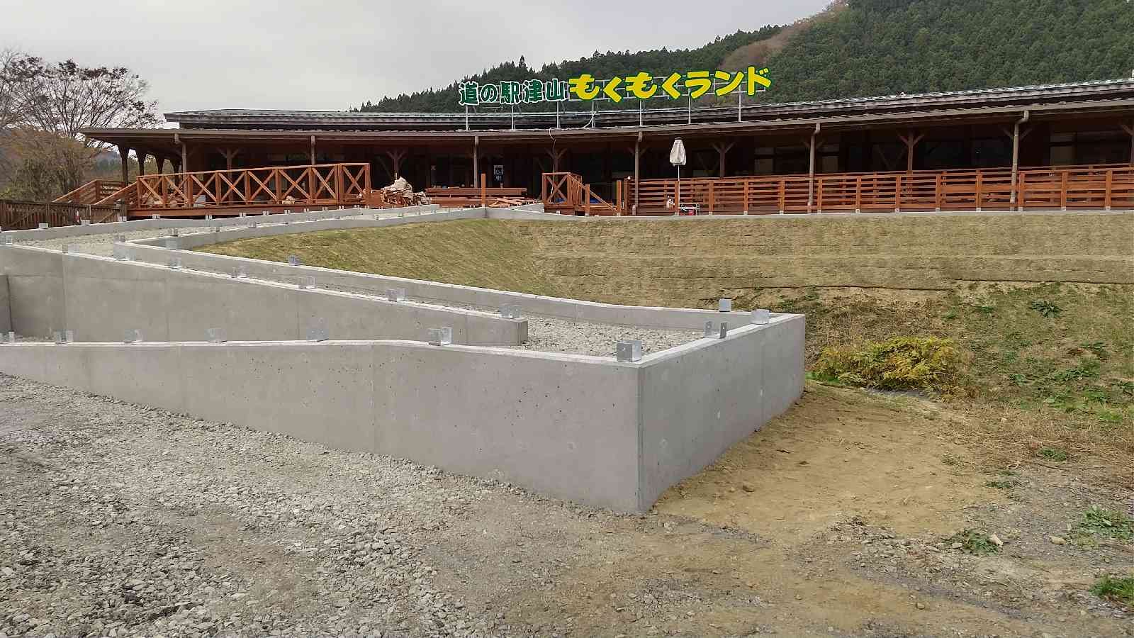投稿された画像