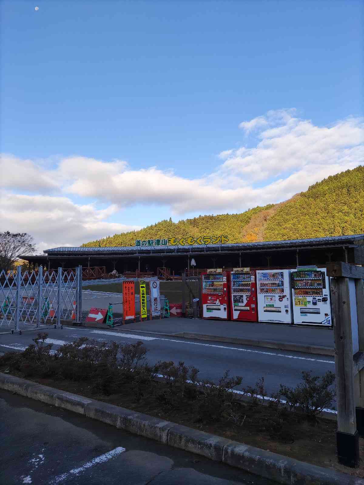 投稿された画像