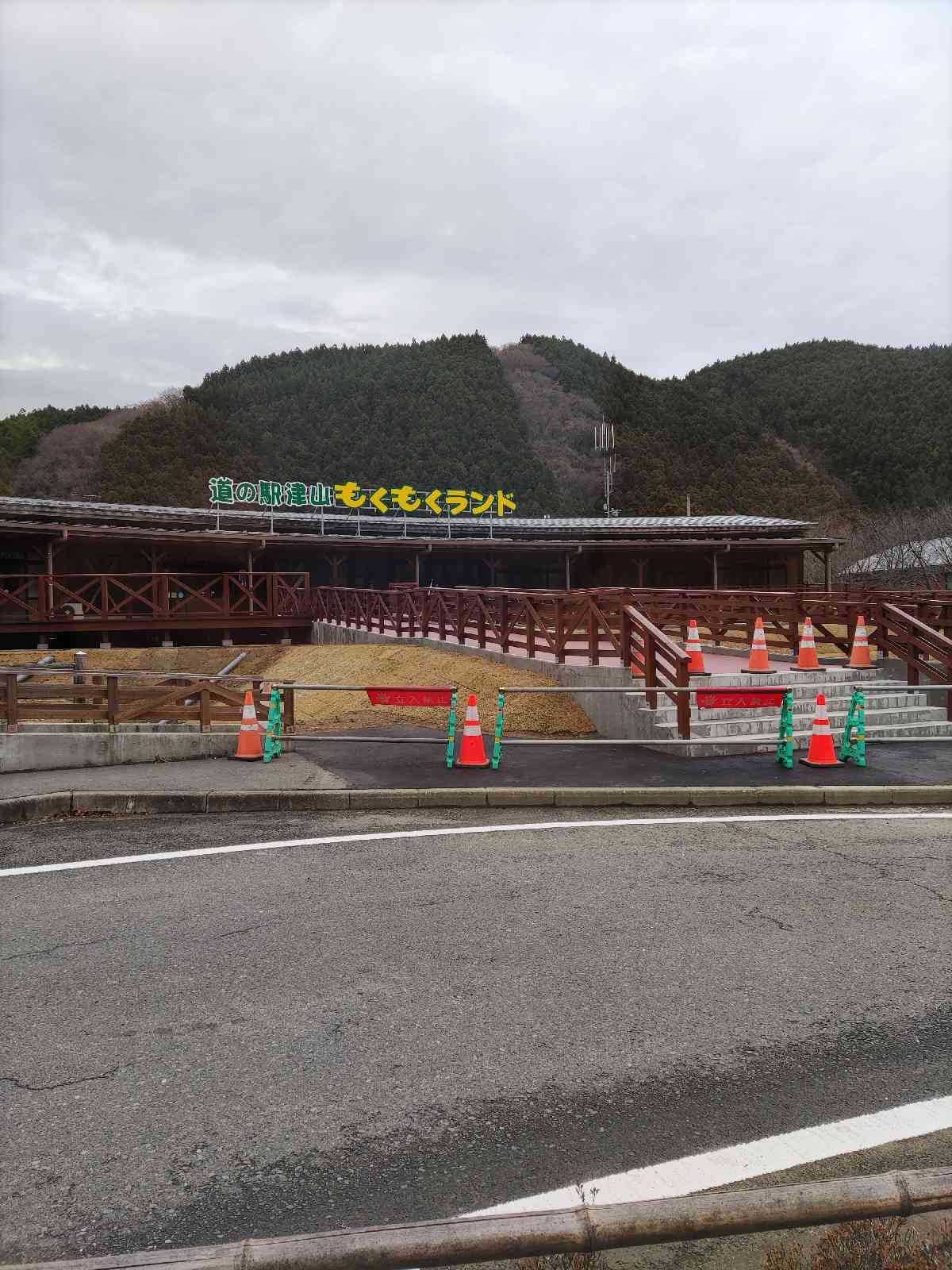 投稿された画像