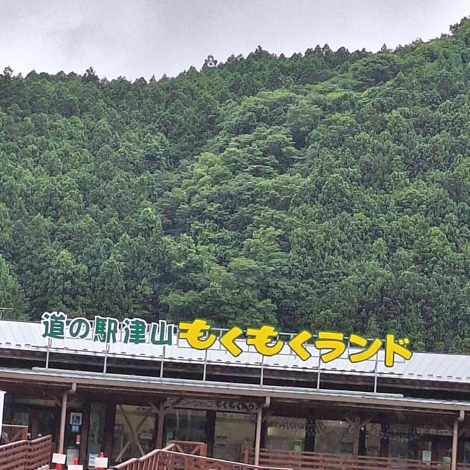 道の駅 津山の写真