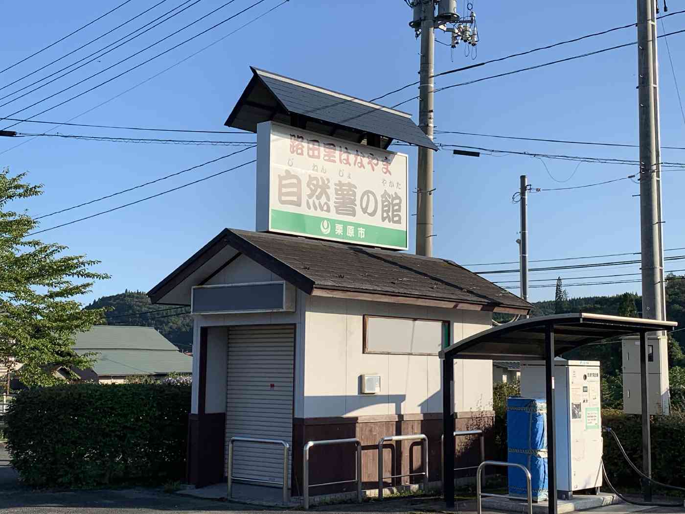 投稿された画像