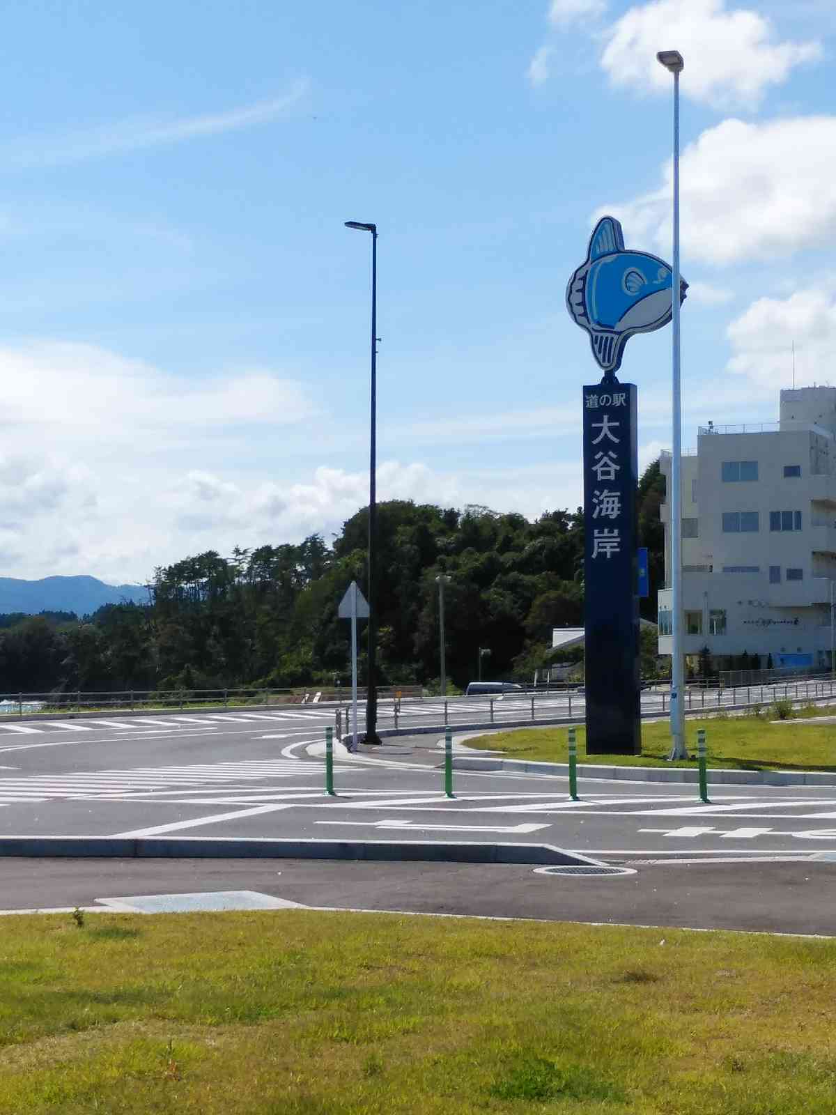 投稿された画像