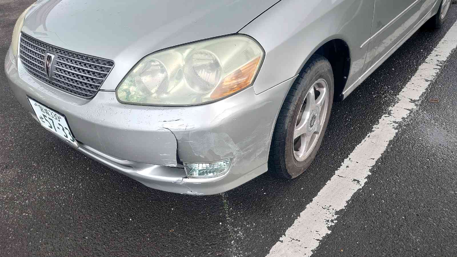 投稿された画像