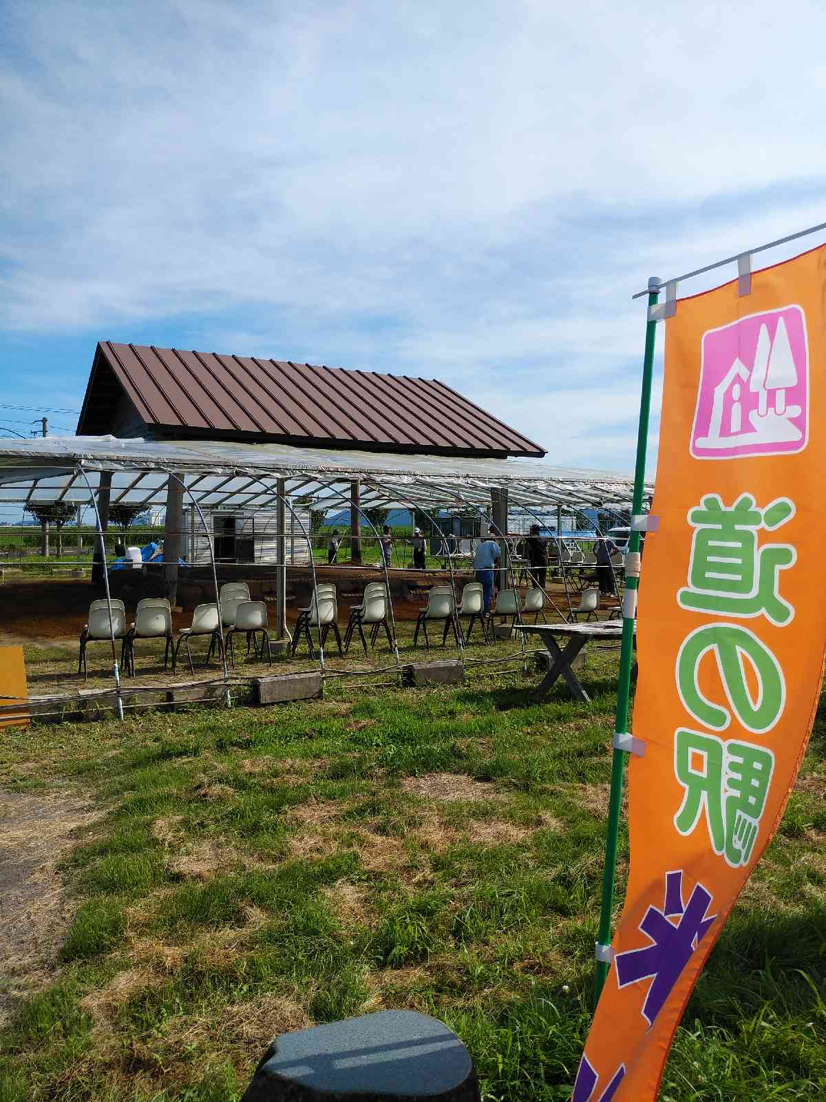 投稿された画像