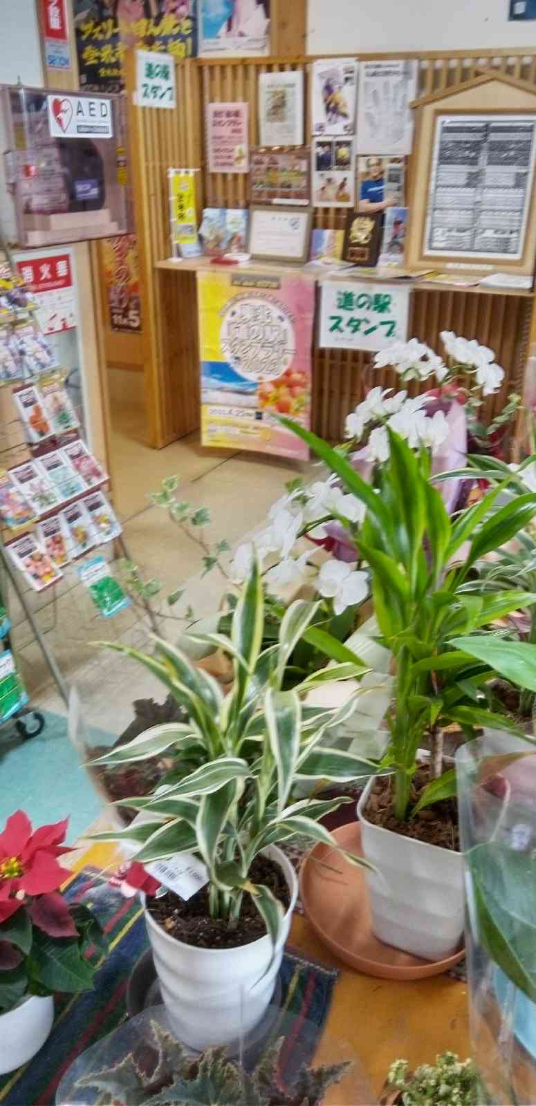 道の駅 米山の写真