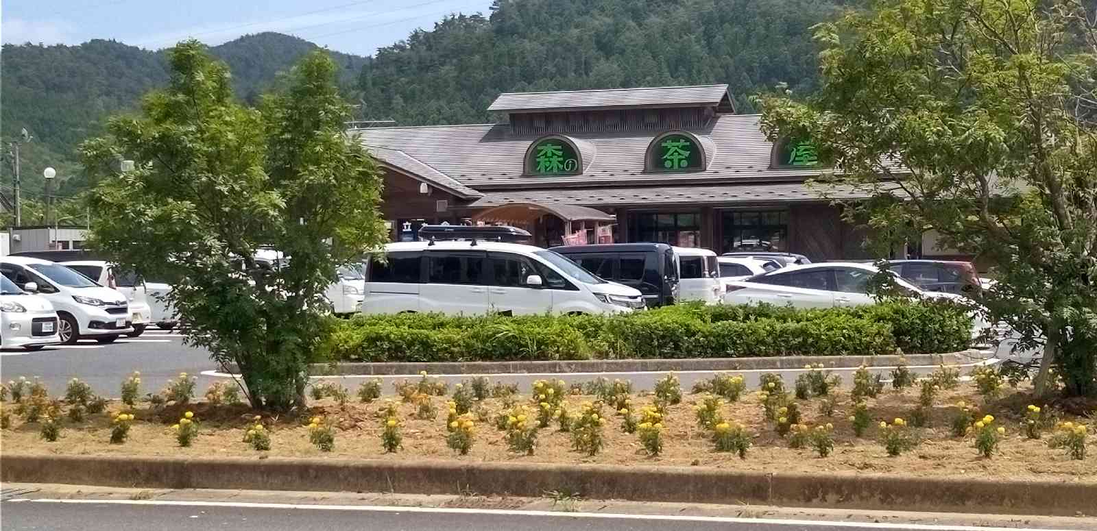 道の駅 林林館の写真