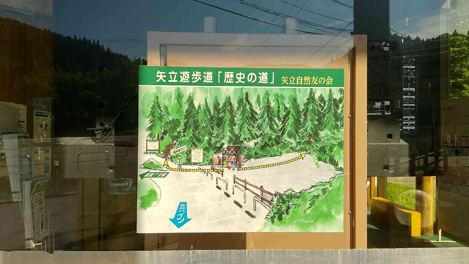 投稿された画像