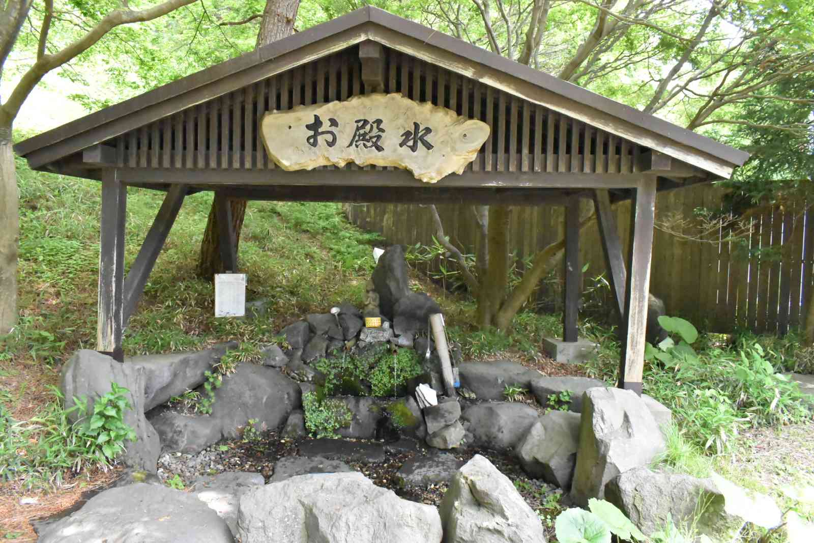 投稿された画像