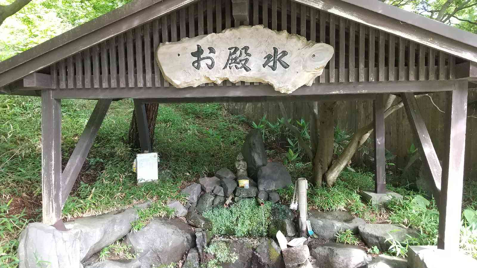 投稿された画像