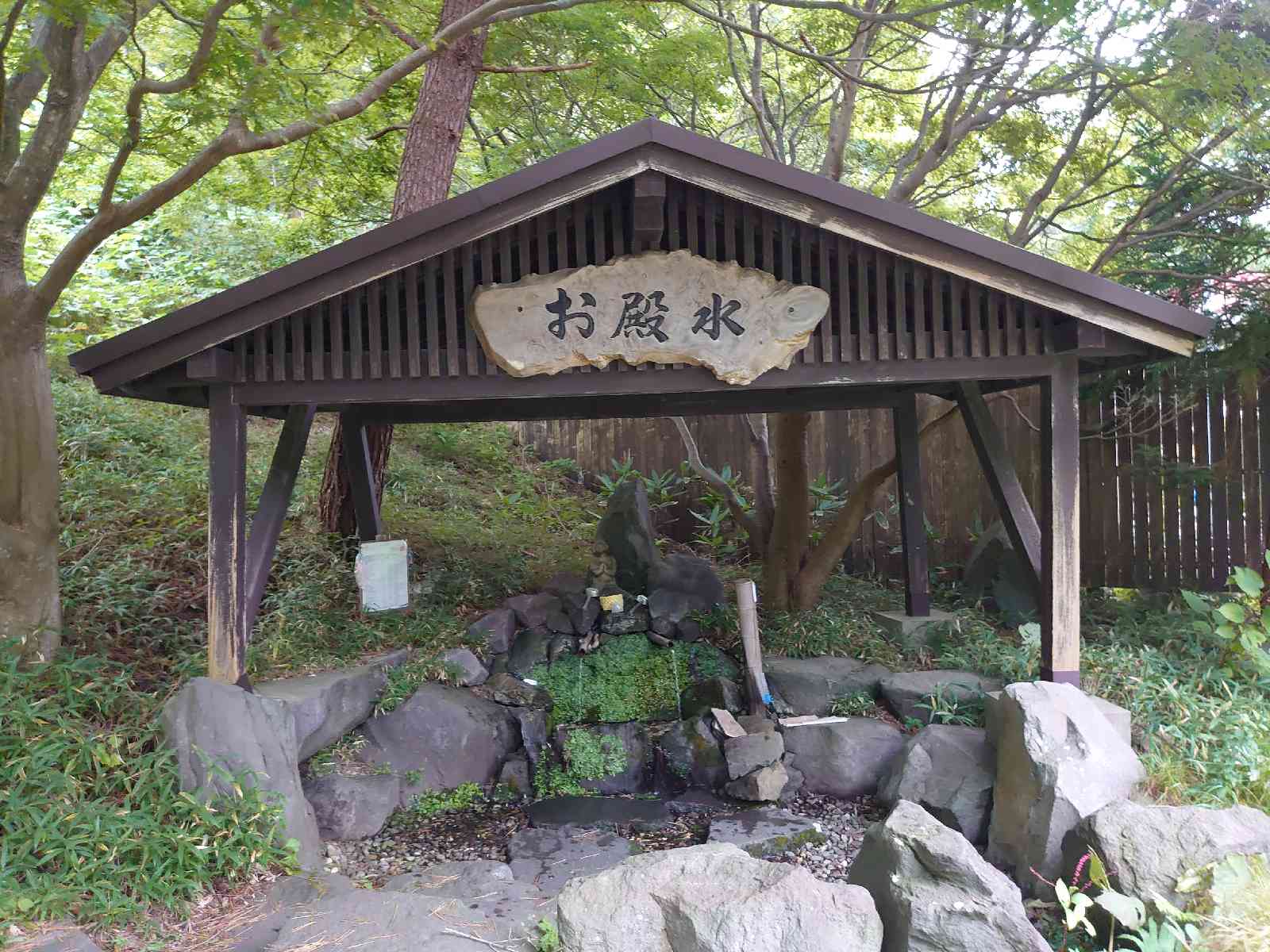 投稿された画像