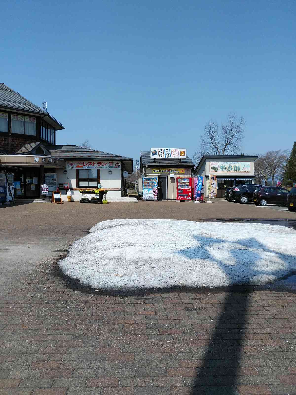 投稿された画像