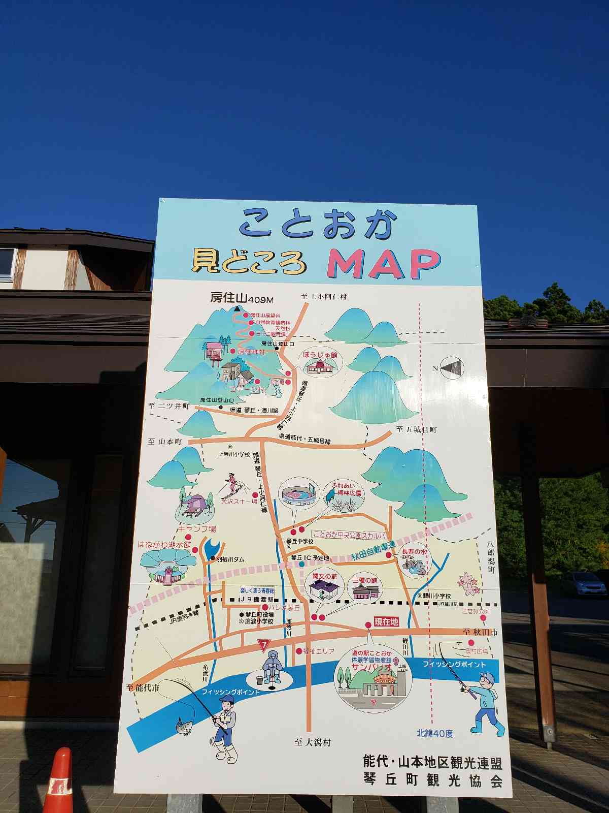 投稿された画像