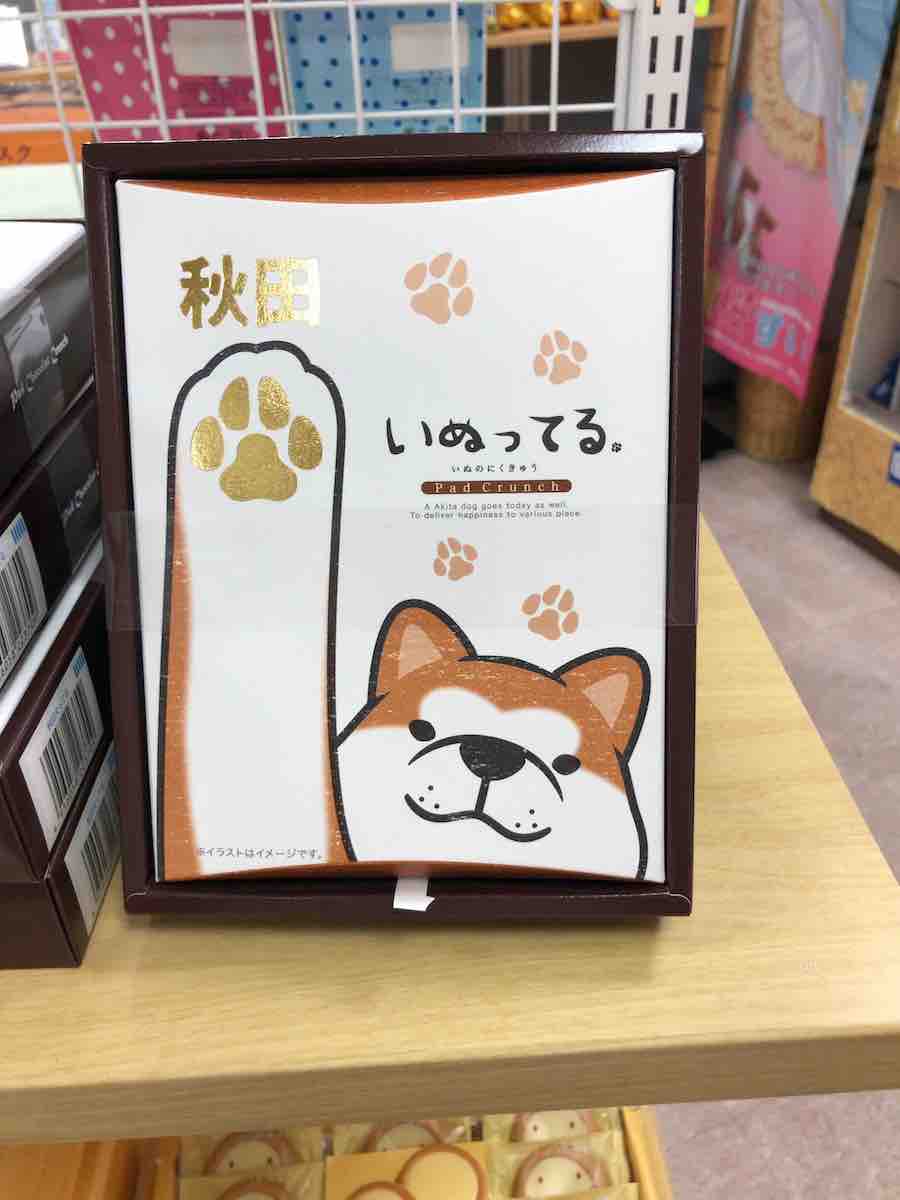 投稿された画像